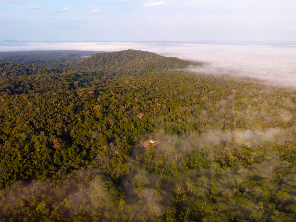 Parque Nacional do Viruá